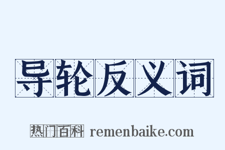 导轮反义词是什么意思的图片